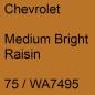 Preview: Chevrolet, Medium Bright Raisin, 75 / WA7495.